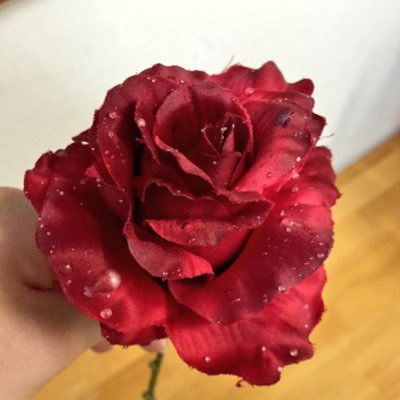 dimnmm's profile picture. ご贔屓は望海風斗様ですが1度観劇しただけで軽率に色んなジェンヌさんに落ちかけます。すぐ色んな界隈に手を出すので常に情報に遅れています。語彙力はありません。あと記憶力も3くらいです。