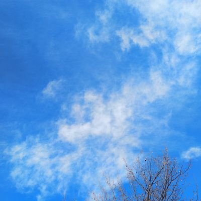 BilekBircan's profile picture. Adana