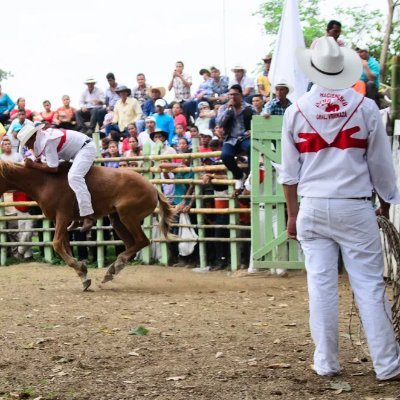 MontubioEc's profile picture. El Montubio es verdadera persona.