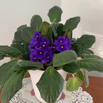 KayHatch7's profile picture. Wife, mother, grandmama