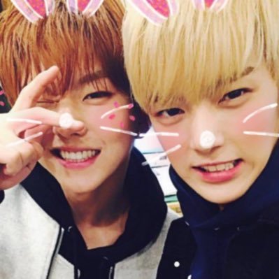 kikiki9311's profile picture. 구독계