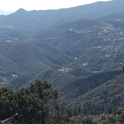 MoralesNemecia's profile picture. Me gustan los paisajes