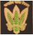 FCIforum's profile image