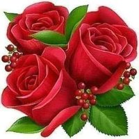 M Ked (@mohamed33238096) 's Twitter Profile