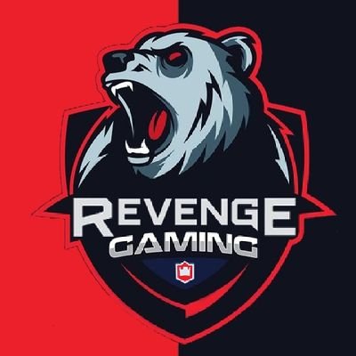 RevengE Gaming