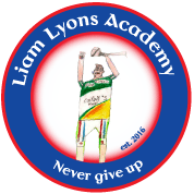 Drumcullen Gaa Coaching & Games (@drumculleng) 's Twitter Profile