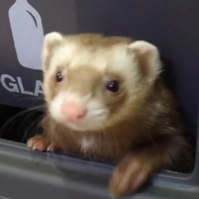 wktkftleh's profile picture. 받아주세여..ㅜㅜ