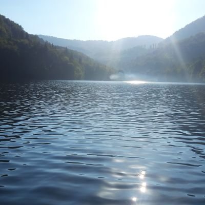 woodmatei's profile picture. Iubesc natura.