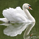 Larsen Rita - @LarsenRita1 - Twitter