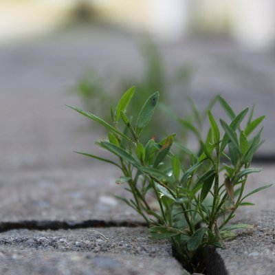 thegemeinsocia1's profile picture. The Gemein Sociale is dedicated to exploring and spreading ideas in the #socialeconomy, and talking about how we can serve people better.