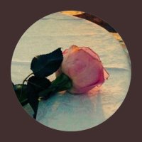 ♥️امل (@hgfytg3) 's Twitter Profile