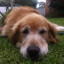 Jo Pickering - @jojopick - Twitter