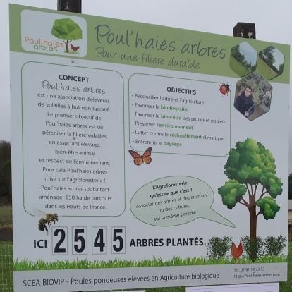 #Agriculteur #eleveur #poulespondeusesBIO #irrigation #culturesBIO #betteraves #pommesdeterre