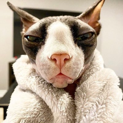 peki16601635's profile picture. 