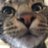 ken16814's profile image