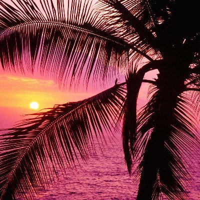 neocrusito711's profile picture. 