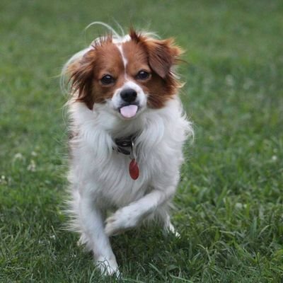 VHoword's profile picture. Sometimes it takes a heartbreak to shake us awake & help us see we are worth so much more than we're