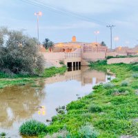 ابوطلال (@tlaltlal1) 's Twitter Profile Photo