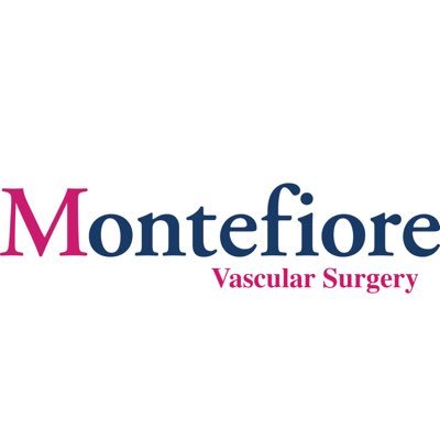 Division of Vascular and Endovascular Surgery at Montefiore Medical Center and the Albert Einstein College of Medicine