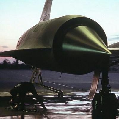 Alessan54815934's profile picture. 