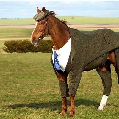 Curious about my avatar? That's the original clothes horse, the •Tweed Steed• ➡️ the race horse Morestead.