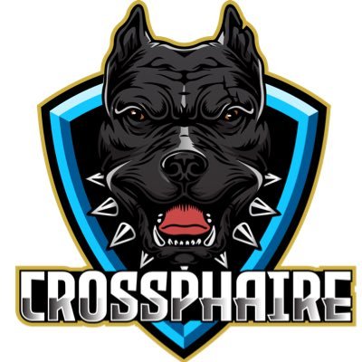 CrossPhaire Profile