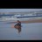 dieguitodcb's profile image