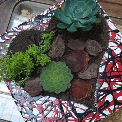 nacarbonell's profile picture. https://t.co/SYuQLHPPye #SoyDonante