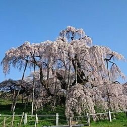 ブライダルの衣装・美容・写真の統括マネージャー
趣味は登山・ガーデニング・美術館巡り・クラシック・猫が好き