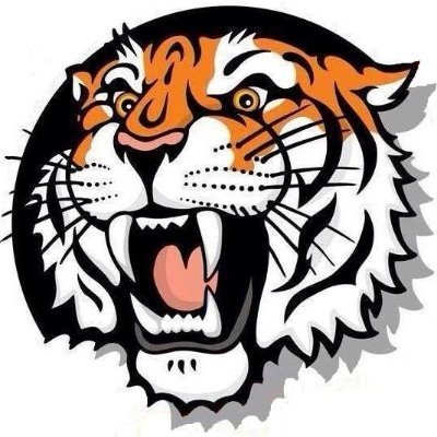 ParisTigerSB's profile picture. Paris🐯Softball 🔸️▪️ 2019 Little Illini Conference Champions 🔸️▪️ 2x Regional Champ