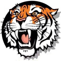 Paris Tiger Softball (@paristigersb) 's Twitter Profile