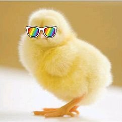 Irgo32063407's profile picture. 