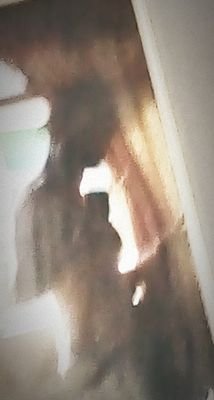 Isaac71329478's profile picture. Un pedazo más del universo tratando de llegar a su destino...