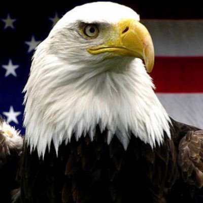 ArnettPop's profile picture. 