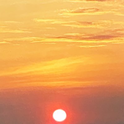 ymrgEo1pRKQEmXZ's profile picture. 人生という旅を豊かなものにしたい