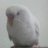 frash_star's profile image