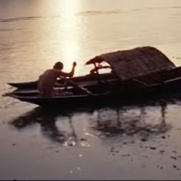 w_yoge's profile picture. There are so many new mistakes to do...