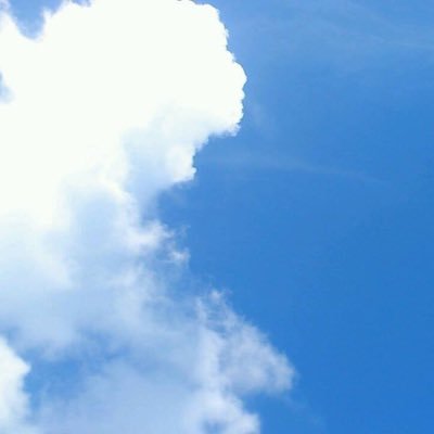 tGwIxLTiBk2ywGR's profile picture. 🐶🐷🦖11/6 基本愚痴🤬