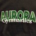 AHS Gymnastics Aurora OH (@ahsgymnasts) Twitter profile photo AHS Gymnastics Aurora OH (@ahsgymnasts) Twitter profile photo