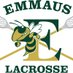 Emmaus Hornets Boys Lacrosse (@emmaushsboyslax) Twitter profile photo