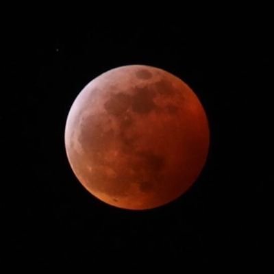 N_I_inc's profile picture. Franchising available now.