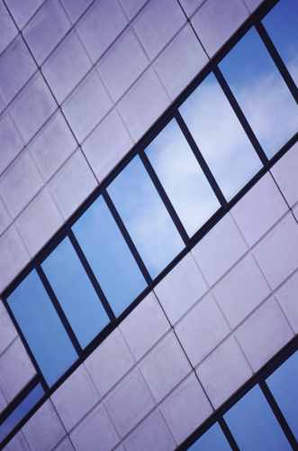 cafipuqu's profile picture. Managment, Business ideas news