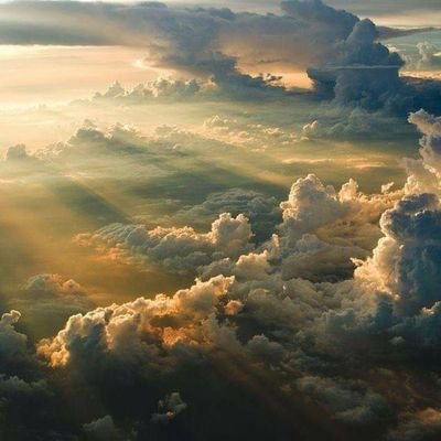 In conclusion, there is no conclusion. Things will go on as they always have, getting weirder all the time.
Robert Anton Wilson