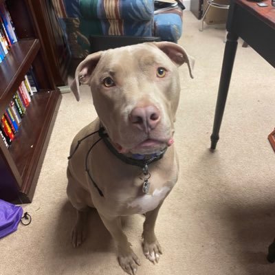 tom_linv's profile picture. 