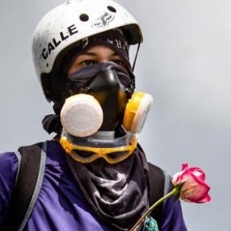 guarimberom007's profile picture. NO DM 🚫