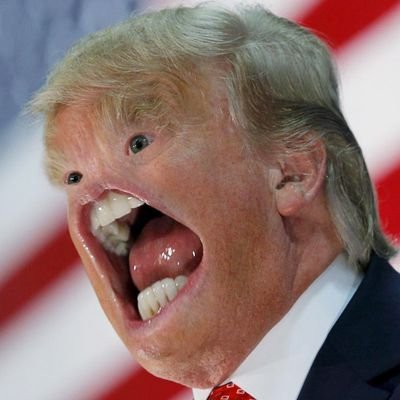 ByeTrumpClock's profile picture. tick... tick... tick.... tick...