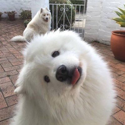 few254222's profile picture. 