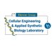 Blenner Lab at UD (@blennerlab) Twitter profile photo Blenner Lab at UD (@blennerlab) Twitter profile photo
