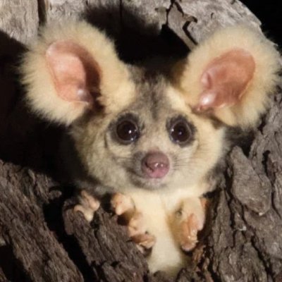 Jyfhat_Yue's profile picture. scientist @ZJU_China, previously @MRC_LMB @LifeAtPurdue, biophysics, chemistry, virology, bacterial cell biology, anti-infectives, synthetic biology, immunology