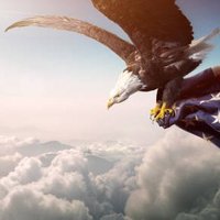 AnActualPatriot (@patrioticmaxims) 's Twitter Profile Photo AnActualPatriot (@patrioticmaxims) 's Twitter Profile Photo